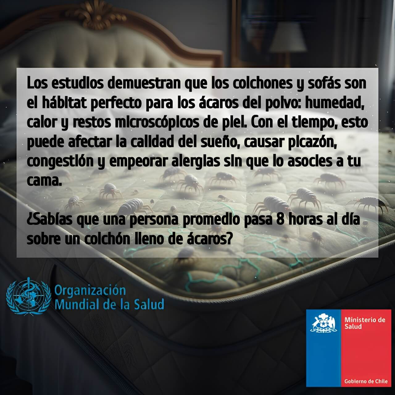 Acaroff: Aspiradora Portátil anti-ácaros