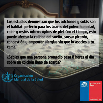 Acaroff: Aspiradora Portátil anti-ácaros